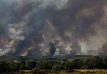 Φωτιά στον Έβρο: Μάχη με την πύρινη λαίλαπα για 14η μέρα – Περικυκλωμένο από τις φλόγες το Σουφλί – Σε «τόξο» χιλιομέτρων το μέτωπο