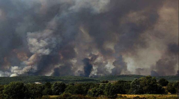 Φωτιά στον Έβρο: Μάχη με την πύρινη λαίλαπα για 14η μέρα – Περικυκλωμένο από τις φλόγες το Σουφλί – Σε «τόξο» χιλιομέτρων το μέτωπο