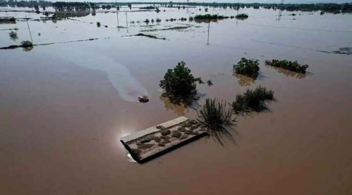Τι δίνει ο θεσσαλικός κάμπος – Τι αναμένεται να ακριβύνει μετά τις καταστροφές από την κακοκαιρία Daniel