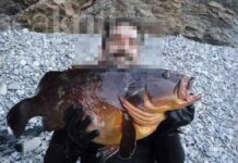 Άκαρπες οι έρευνες για τον αγνοούμενο ψαροντουφεκά – «Χτενίζουν» την περιοχή λιμενικό, δύτες και drone