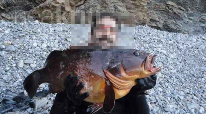 Άκαρπες οι έρευνες για τον αγνοούμενο ψαροντουφεκά – «Χτενίζουν» την περιοχή λιμενικό, δύτες και drone