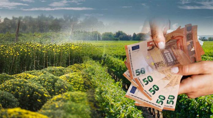 Επιδοτήσεις: «Συνέταιρο» στην τσέπη τους βάζουν οι παραγωγοί