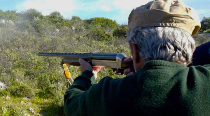 Με πολλαπλές βολές από καραμπίνα δολοφονήθηκε πισώπλατα ο Μπάμπης Κούτσικος