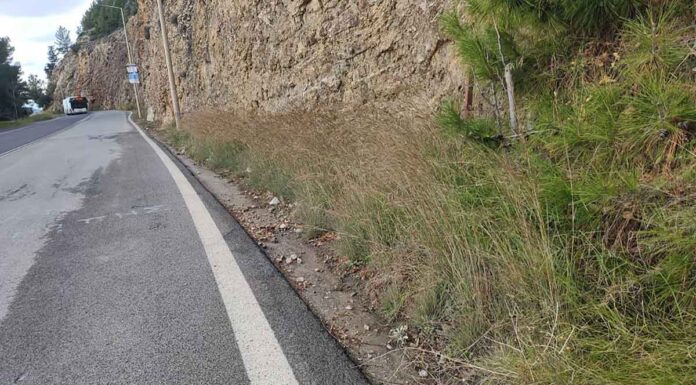 Βόλος: Πώς ο 50χρονος σκότωσε τον 33χρονο κουνιάδο του, φερόμενο βιαστή της κόρης του