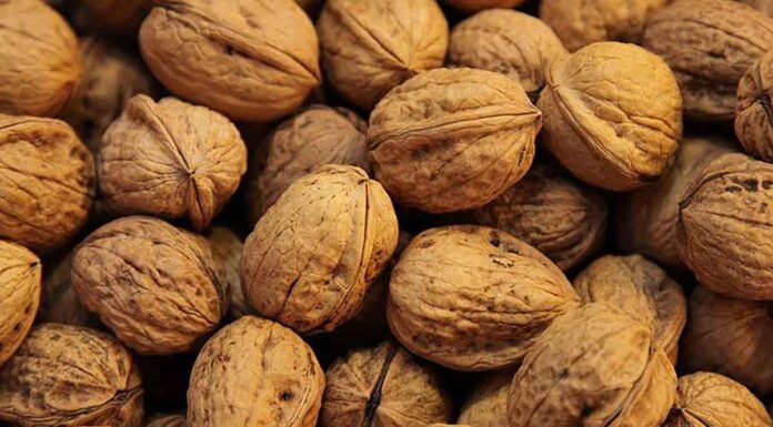 Πώς να μεγαλώσετε καρυδιά από σπόρο (καρύδι)