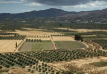 Κρήτη – Λειψυδρία: Στο “κόκκινο” η Μεσαρά και άλλες περιοχές – Στερεύουν πηγές και γεωτρήσεις