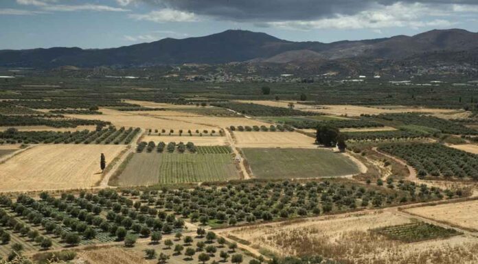 Κρήτη – Λειψυδρία: Στο “κόκκινο” η Μεσαρά και άλλες περιοχές – Στερεύουν πηγές και γεωτρήσεις