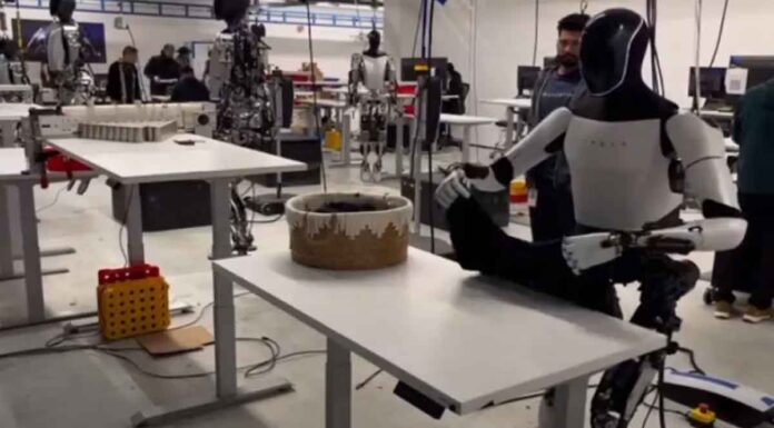 Το μέγεθος και το βάρος του Optimus έχουν σχεδιαστεί για να είναι συμβατά με αυτά ενός μέσου ανθρώπου