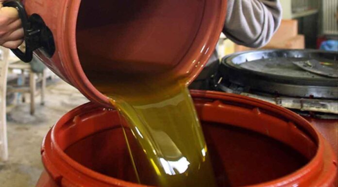 Κρήτη: Άγνωστοι άρπαξαν 60 κιλά ελαιόλαδο από την εκκλησία του Προφήτη Ηλία