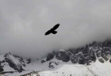 Κακοκαιρία «Avgi»: Τοπικές βροχές, τσουχτερό κρύο και χιόνια στα ορεινά της Κρήτης σήμερα Πέμπτη