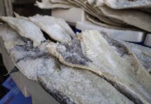 Δείτε πώς θα ξεχωρίσετε τον μπακαλιάρο από το λινγκ – Όσα πρέπει να προσέξετε