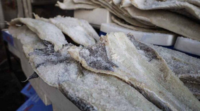 Δείτε πώς θα ξεχωρίσετε τον μπακαλιάρο από το λινγκ – Όσα πρέπει να προσέξετε