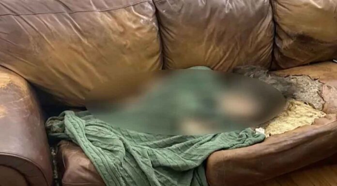 ΗΠΑ: Γονείς άφησαν την κόρη τους να πεθάνει σε έναν σκουληκιασμένο καναπέ! – Έμεινε ξαπλωμένη για πάνω από δέκα χρόνια!