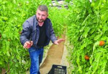Κρήτη: 1.000 εργάτες στο νησί και πάλι δε φτάνουν! – Σε ΦΕΚ η υπουργική απόφαση για προσωπικό από τρίτες χώρες