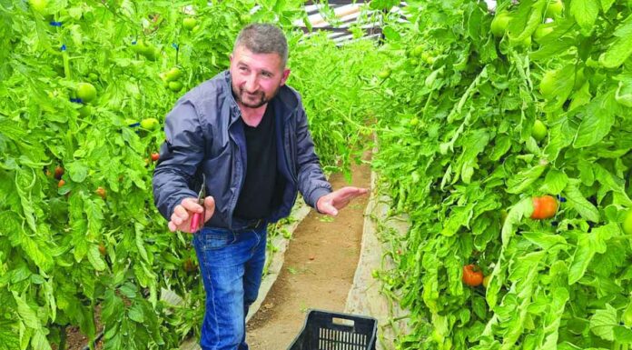 Κρήτη: 1.000 εργάτες στο νησί και πάλι δε φτάνουν! – Σε ΦΕΚ η υπουργική απόφαση για προσωπικό από τρίτες χώρες