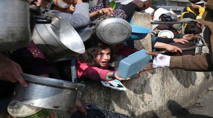 «Πετάνε βοήθεια στη θάλασσα και μας βάζουν να ερχόμαστε εδώ σαν τα σκυλιά!».