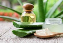 Πώς να φροντίσεις το θαυματουργό για το δέρμα σου φυτό aloe vera