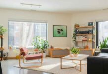 4 εύκολα DIY φυσικά απωθητικά που κρατούν τις αράχνες μακριά