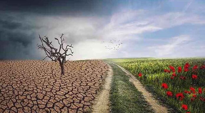 SΟS από ΟΗΕ για κλιματική αλλαγή: «Μένουν δύο χρόνια για να σώσουμε τον πλανήτη»