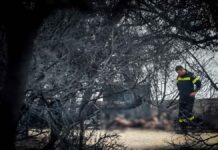 Πώς φτάσαμε στην ατιμωρησία για τη φωτιά στο Μάτι: Παρέμβαση Αρείου Πάγου για άσκηση έφεσης κατά της απόφασης