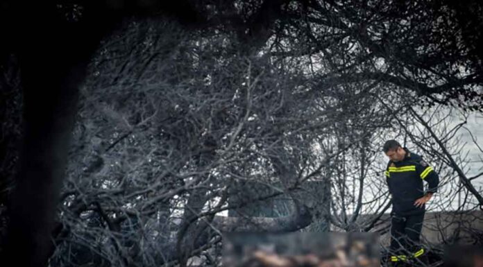 Πώς φτάσαμε στην ατιμωρησία για τη φωτιά στο Μάτι: Παρέμβαση Αρείου Πάγου για άσκηση έφεσης κατά της απόφασης