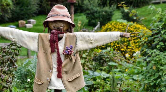 Πώς να φτιάξετε ένα σκιάχτρο για τον κήπο: 33 ενδιαφέρουσες ιδέες προστασίας και διακόσμησης