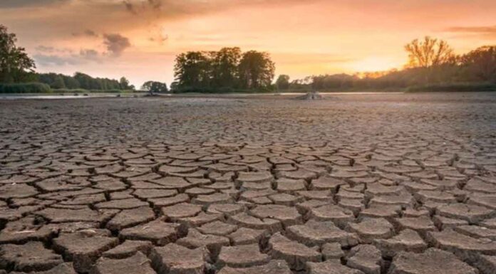 Ώρα μηδέν για το νερό: Πώς η ξηρασία απειλεί και την Ελλάδα Απελπιστική είναι η κατάσταση στον Δήμο Βιάννου καθώς λόγω λειψυδρίας