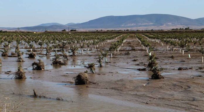 Κρατικές ενισχύσεις: Τι αλλάζει στις ρυθμίσεις για πληττόμενους αγρότες και επιχειρήσεις
