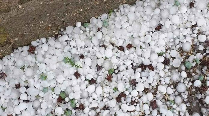 Έβρος – Έριχνε χαλάζι σε μέγεθος καρυδιού (vid) Η χαλαζόπτωση που σημειώθηκε την Παρασκευή (14/6) προκάλεσε καταστροφές στις καλλιέργειες
