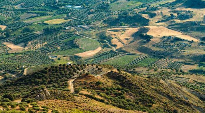 Δασικοί Χάρτες: Απόφαση ΣτΕ ανοίγει τον δρόμο για αποδέσμευση περιουσιών