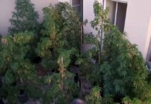 Συλλήψεις για ναρκωτικά και χρήση χημικών στο Μυλοπόταμο (pics)Αναχωρεί για το Μόνρεαλ ο 49χρονος Ελληνοκαναδός