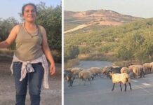 Η όμορφη βοσκοπούλα από το Ηράκλειο