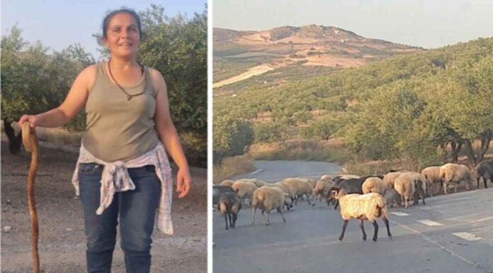 Η όμορφη βοσκοπούλα από το Ηράκλειο