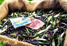 Κρήτη | Ζητούν πίσω από τους αγρότες τις επιδοτήσεις – Έκανε λάθος ο ΟΠΕΚΕΠΕ