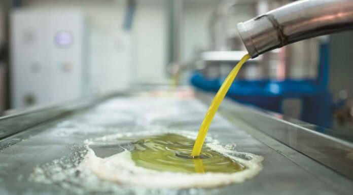 Κοινό μέτωπο των παραγωγών της Κρήτης: Τι αναφέρει ο Μύρων Χιλετζάκης στο neakriti.gr για την κρίσιμη αυριανή συνάντηση Τους τελευταίους 12 μήνες η τιμή του λαδιού στην Ελλάδα μειώθηκε κατά 39%-45%