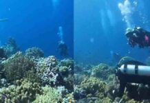 Σπάνιο στιγμιότυπο δείχνει τι συμβαίνει στον βυθό της θάλασσας όταν γίνεται σεισμός (βίντεο)