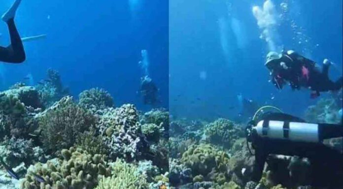 Σπάνιο στιγμιότυπο δείχνει τι συμβαίνει στον βυθό της θάλασσας όταν γίνεται σεισμός (βίντεο)