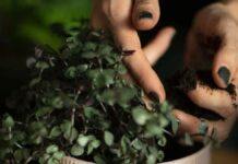 Θες να ζήσεις περισσότερο και πιο ευτυχισμένα; Τότε ξεκίνα την κηπουρική