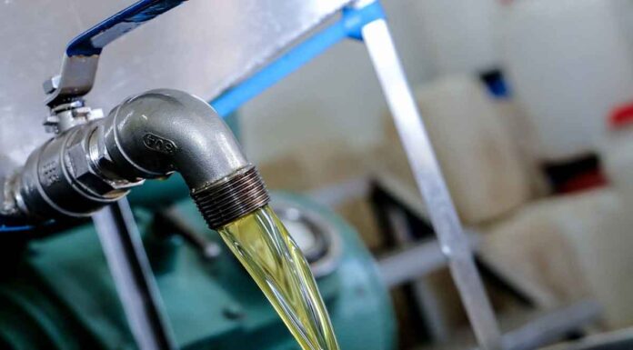 Ελαιόλαδο: Τέλος στη μεταφορά με τενεκέ – Τσουχτερά πρόστιμα