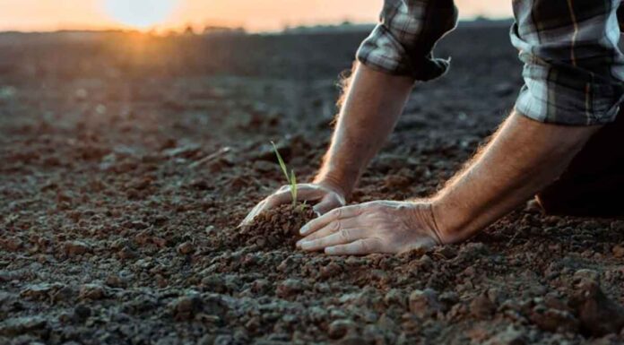Πλέον δεν μπορείς να είσαι αγρότης ή κτηνοτρόφος χωρίς.. απολυτήριο Λυκείου