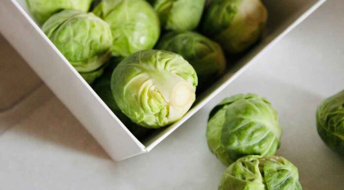 Μπρόκολο, λάχανο ή λαχανάκια Βρυξελλών: Τα λαχανικά που πρέπει να τρώμε κάθε εβδομάδα, σύμφωνα με διατροφολόγο Μπρόκολο, λάχανο ή λαχανάκια Βρυξελλών: Τα λαχανικά που πρέπει να τρώμε κάθε εβδομάδα