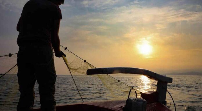 Λιμάνι Ηρακλείου: Μαύρες σημαίες στα καΐκια – Αλιείες ενώνουν τις δυνάμεις τους με τους αγροτοκτηνοτρόφους της Κρήτης