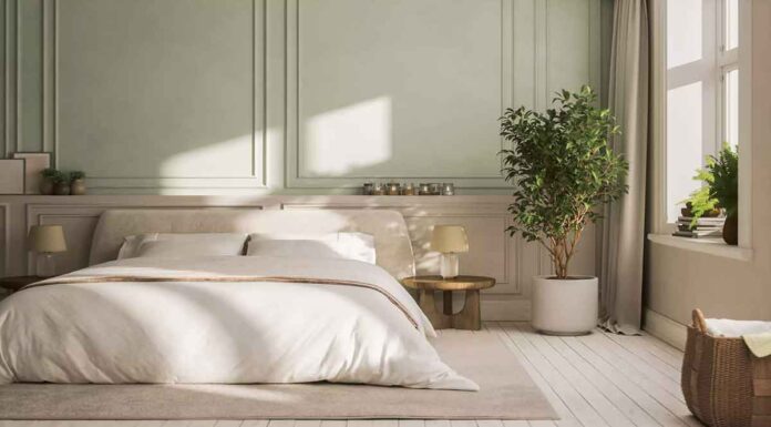 Φυτά Εσωτερικού Χώρου: Αν θέλεις να προσθέσεις πράσινο στο σπίτι σου, ξεκίνα με αυτές τις must-have επιλογές Φυτά Εσωτερικού Χώρου