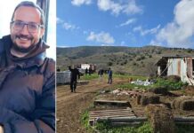 Βασίλης Καλογήρου: Γιατί δεν φαίνεται να υπάρχει εγκληματική ενέργεια; Πολλές συμπτώσεις σε μια υπόθεση θρίλερ Βασίλης Καλογήρου