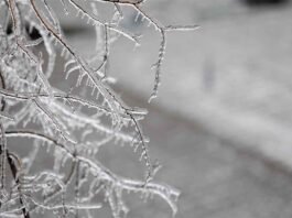 Ενδείξεις ακόμη και για… χιόνια από τη νέα εβδομάδα – Η ανάρτηση Χατζηγρίβα