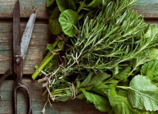 Πώς αποξηραίνουμε αρωματικά φυτά και βότανα Πώς αποξηραίνουμε αρωματικά φυτά και βότανα