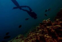 Αγνοείται 43χρονος ψαροντουφεκάς στον όρμο Κριού – Σε εξέλιξη έρευνες του Λιμενικού για τον εντοπισμό του