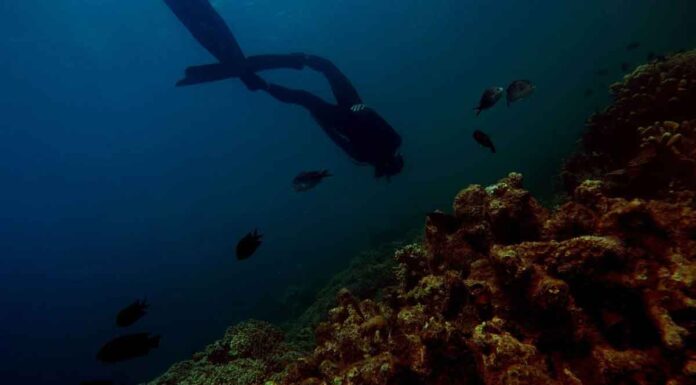 Αγνοείται 43χρονος ψαροντουφεκάς στον όρμο Κριού – Σε εξέλιξη έρευνες του Λιμενικού για τον εντοπισμό του