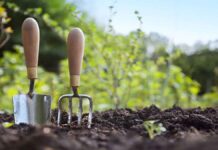 Τι φυτεύουμε τον Μάρτιο Τι φυτεύουμε τον Μάρτιο