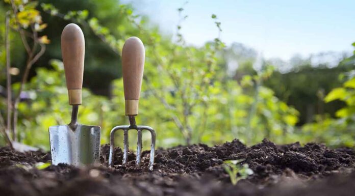 Τι φυτεύουμε τον Μάρτιο Τι φυτεύουμε τον Μάρτιο